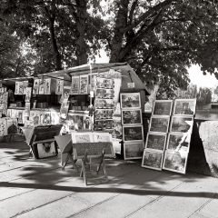 Seine Displays